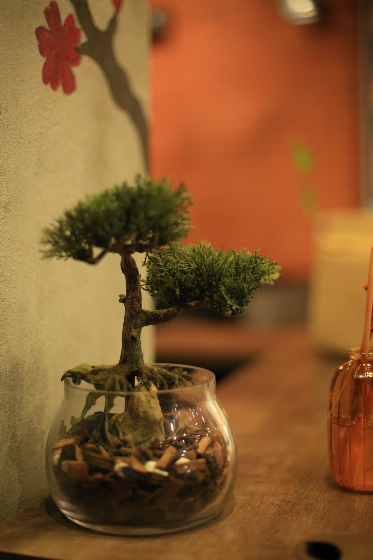 Bonsai sobre o balcão
