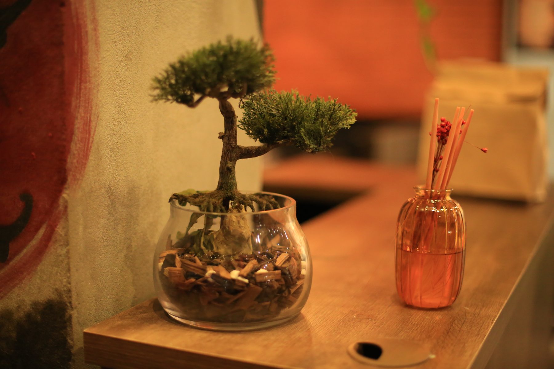 Bonsai na entrada do restaurante